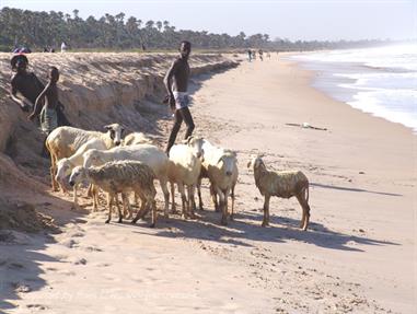 Gambia 02 Der Strand,_DSC01701b_B740